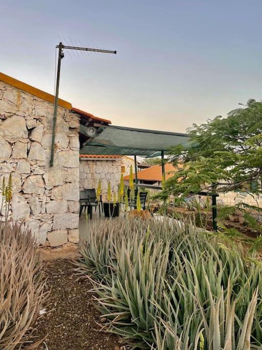 Cidade Velha Casa Aloe Vera - Private House W/ Free Breakfast מראה חיצוני תמונה