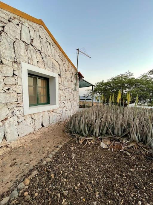 Cidade Velha Casa Aloe Vera - Private House W/ Free Breakfast מראה חיצוני תמונה