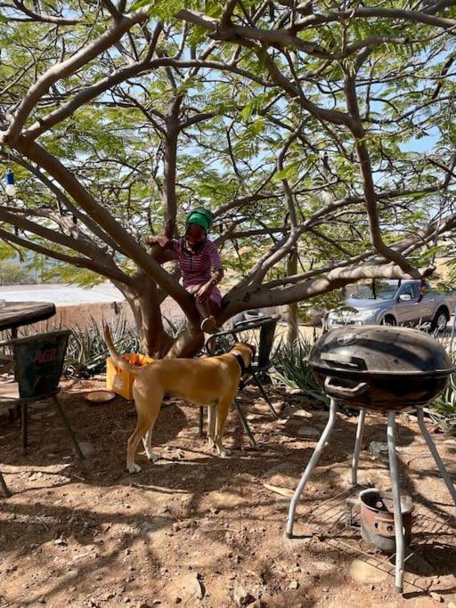 Cidade Velha Casa Aloe Vera - Private House W/ Free Breakfast מראה חיצוני תמונה