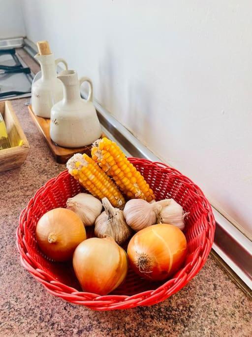 Cidade Velha Casa Aloe Vera - Private House W/ Free Breakfast מראה חיצוני תמונה