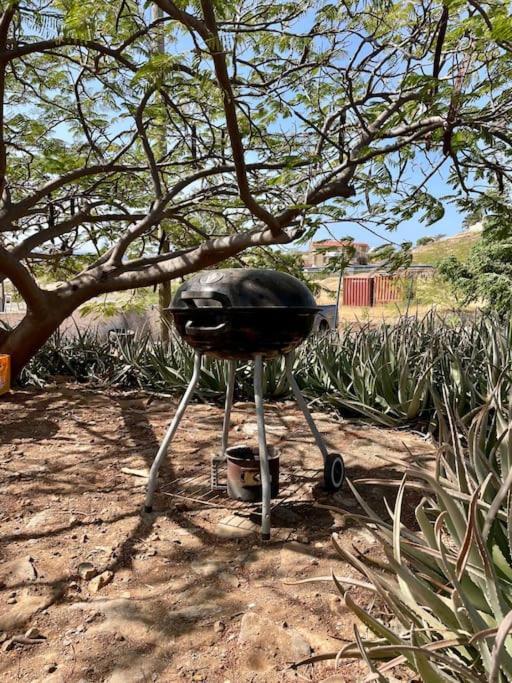Cidade Velha Casa Aloe Vera - Private House W/ Free Breakfast מראה חיצוני תמונה