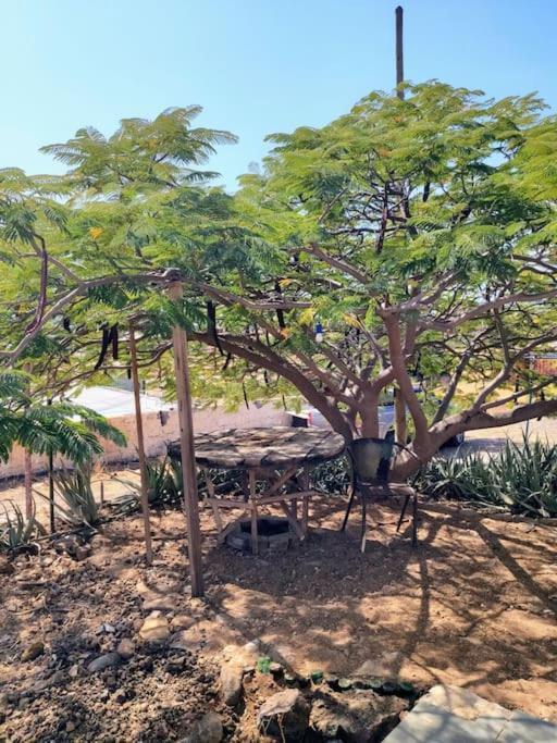 Cidade Velha Casa Aloe Vera - Private House W/ Free Breakfast מראה חיצוני תמונה